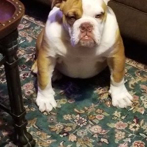 Meet your Posher, Steven